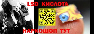 гашик Кандалакша