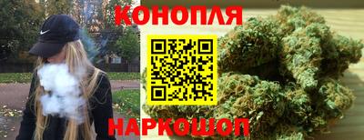 ПСИЛОЦИБИНОВЫЕ ГРИБЫ Камышлов