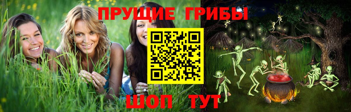 Псилоцибиновые грибы ЛСД  Галлюциногенные грибы GOLDEN TEACHER  Вход с VPN  Волоколамск 